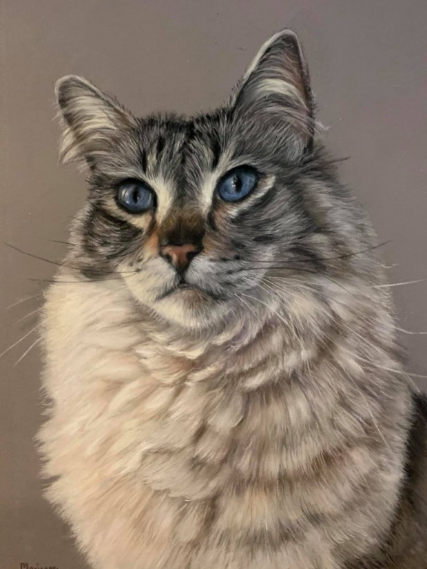 Cat Portrait by Marianne Bindemanis