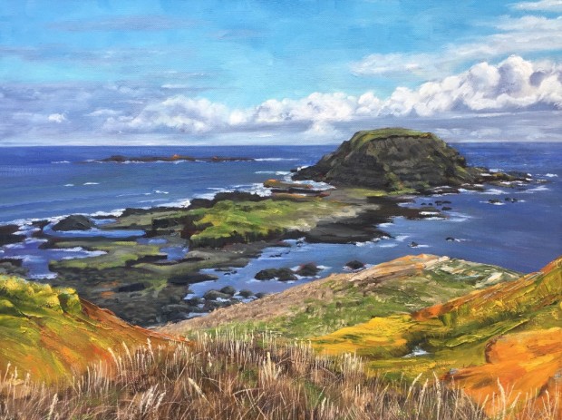 The Nobbies, Phillip Island, Cictoria by Steve Freestone
